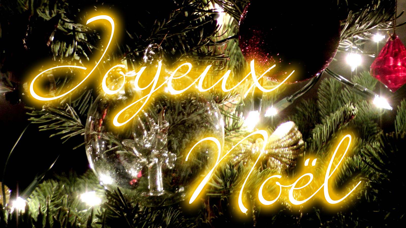 noel-2015
